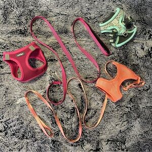 XS Pet harnesses / leashes